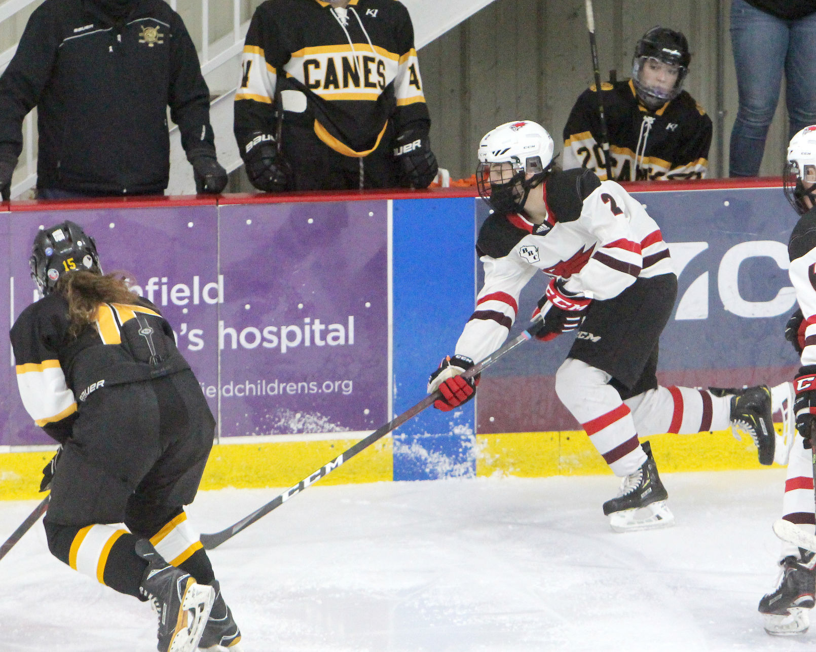 Hayward at Chippewa Falls/Menomonie girls hockey 2-5-21